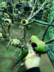 -Zoolung Zoolung动物主题公园(海信广场店)