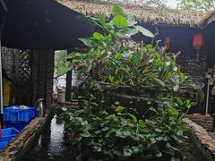 -园林美食城·本土农家菜(杨和镇店)