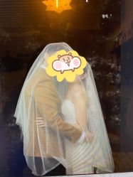 -布丁婚纱摄影工作室