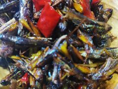 -隔壁老王·家常云南菜(花巷店)