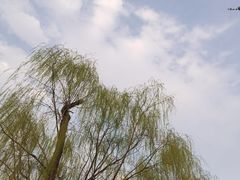 -迎泽公园