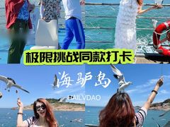 -海驴岛(荣成市)