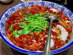 沸腾东星斑-宁海食府(大剧院店)