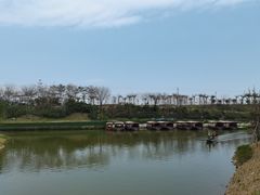 -江门古劳水乡旅游区