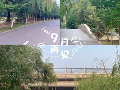 -长白岛森林公园