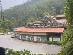 -古龙峡漂流