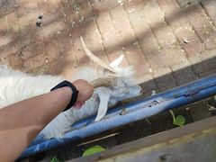 -长白岛森林公园