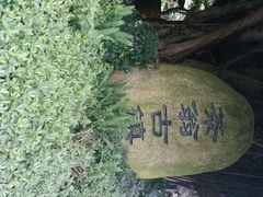 -东部华侨城