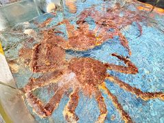 -海澄轩海鲜酒家(虎门店)