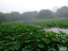 -紫竹院公园冰场