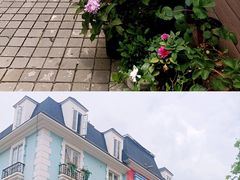 -四川省成都市彭州市白鹿镇