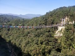 -九龙江国家森林公园