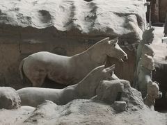 -秦始皇帝陵博物院(兵马俑)