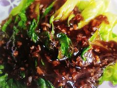 -天鹅到家·保姆月嫂育儿嫂(朝阳店)