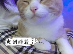 -极木²邸 人与宠物·互动社区
