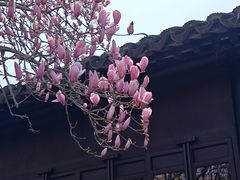 -鑫花溪牛肉米粉(凤凰街创始总店)