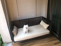 -上海崇明金茂凯悦酒店