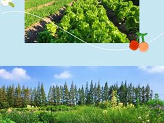 -前小桔亲子创意农场·草莓采摘·露营烧烤