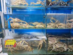 水产区-蚝专家(北滘店)