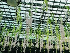 -阿鹏故事云南野生菌火锅(人民路店)