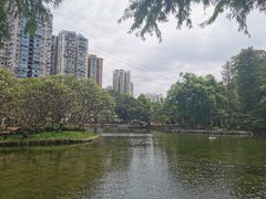 -晓港公园