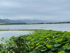 -滇池海埂公园