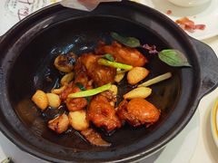 金不换三杯浓香滑鸡煲-太兴餐厅(东方广场分店)