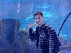 -重庆欢乐海底世界