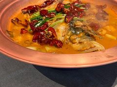 -柿合缘新京菜(国金中心商场店)