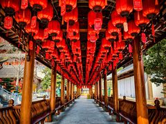 -上海东林寺(金山区)