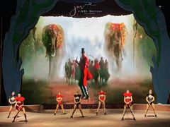 -俄罗斯国家大马戏团