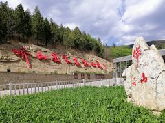 -北京十三陵国家森林公园蟒山景区