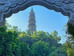 -顺峰山公园