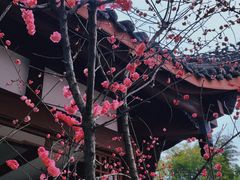 -望江楼公园