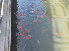 -绍兴大禹开元观堂-若耶厅