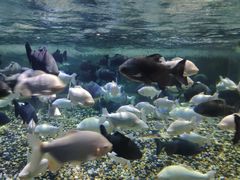 -成都浩海立方海洋公园