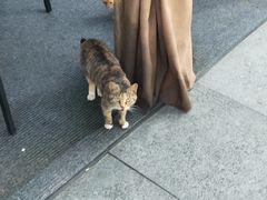 -昆承湖酒家·本帮农家菜