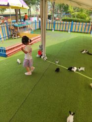 -萌宠亲子动物乐园(槐房万达店)