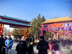 -青龙湖公园