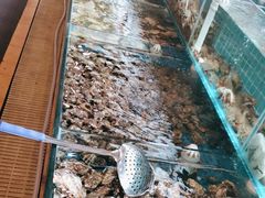 -港畔赶海蒸汽海鲜烧烤自助(仙螺岛店)