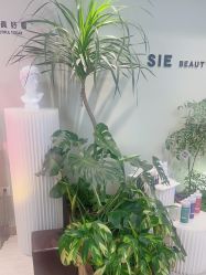 -Lumi露米·美甲美睫品质店