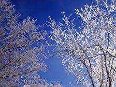 -中旅松花湖滑雪场