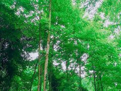 -花亭湖风景名胜区