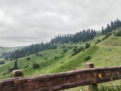 -新疆那拉提国家旅游度假区