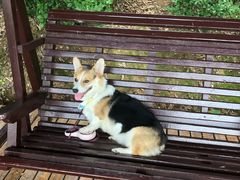 -武汉紫薇都市田园