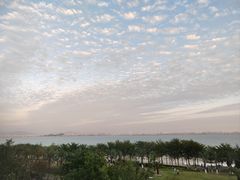 -海豚湾·大堂吧(厦门佰翔波特曼七星湾酒店)