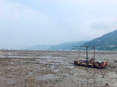 -北岐滩涂