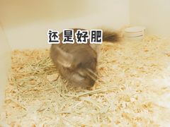 -龙猫仔乐园(惠福东路店)