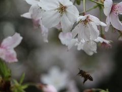 -西北湖绿化广场