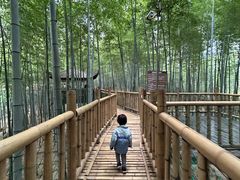 -陶祖圣境风景区